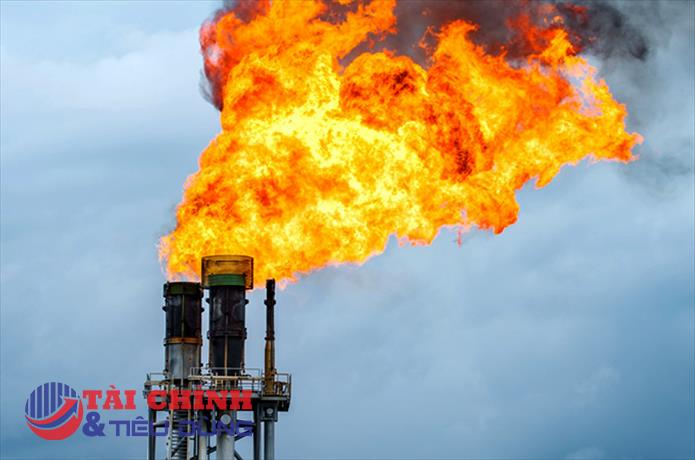 Giá gas hôm nay 15/10: Sắc đỏ bao trùm phiên cuối tuần