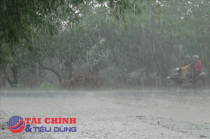 Dự báo thời tiết ngày 16/10: Khu vực từ Quảng Bình đến Quảng Ngãi tiếp tục có mưa to