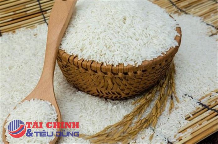 Giá lúa gạo hôm nay 17/10: Giao dịch sôi động ngay trong phiên đầu tuần