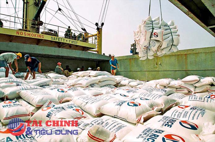 Giá gạo xuất khẩu của Việt Nam giảm 8,4%