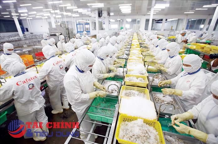 Nhiều tỉnh, thành tăng cường xử phạt hành vi khai thác IUU