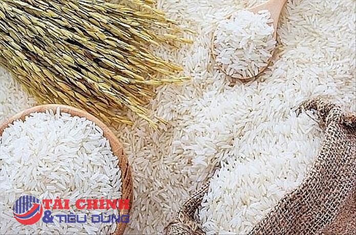 Giá lúa gạo hôm nay 19/10: Duy trì ổn định so với hôm qua