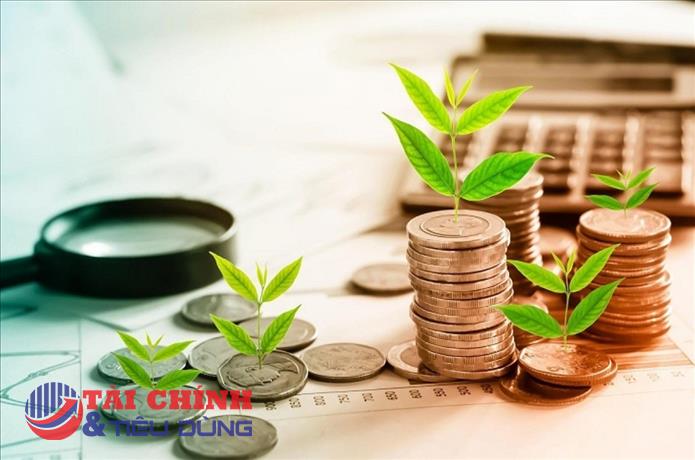 Nhiều định chế tài chính trong và ngoài nước đẩy mạnh cho vay và đầu tư trái phiếu xanh