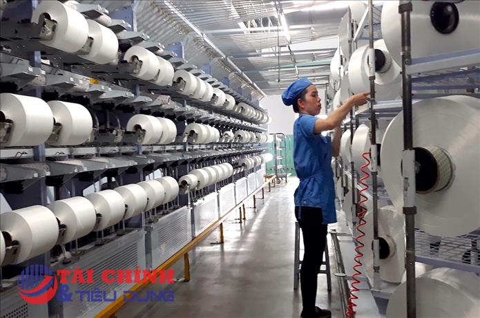 Sợi Thế Kỷ (STK) báo lợi nhuận quý 3 "đi lùi" 20%