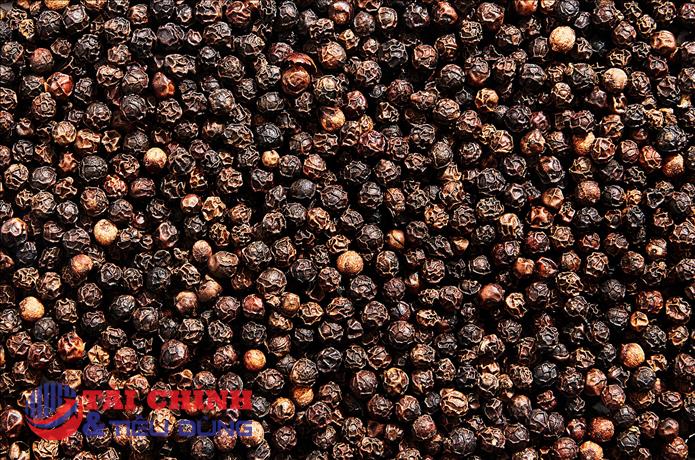 Giá tiêu hôm nay 28/10: Dao động quanh mốc 56.000 - 59.000 đồng/kg