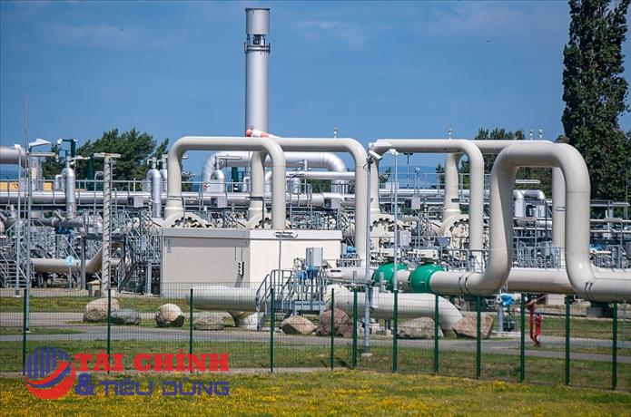 Giá gas hôm nay 2/11: Giảm hơn 6% so với phiên trước
