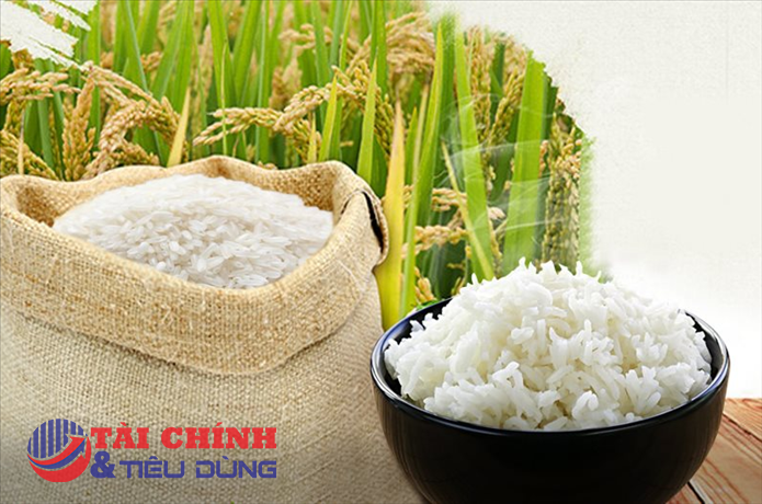 Giá lúa gạo hôm nay 6/11: Không nhiều biến động