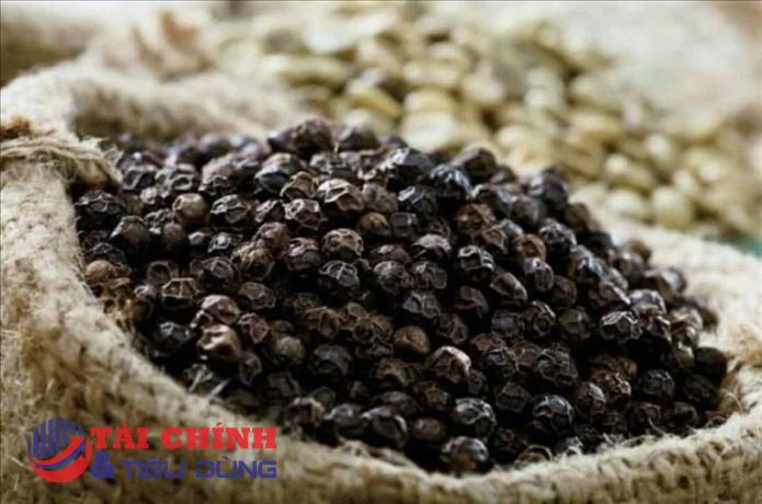 Giá tiêu hôm nay 9/11: Tăng mạnh ở một số địa phương, cao nhất là 62.000 đồng/kg