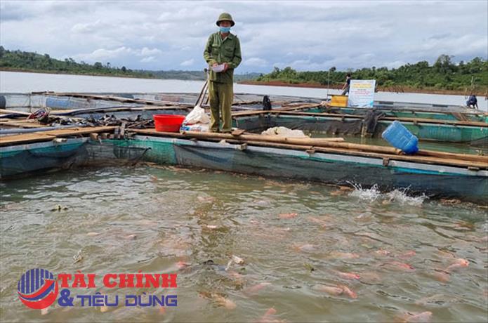 Bộ NN&PTNT cảnh báo tình trạng bán thuốc thú y thủy sản kém chất lượng