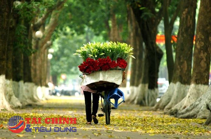 Thời tiết hôm nay 12/11: Hà Nội hửng nắng, sương mù nhẹ vào sáng sớm