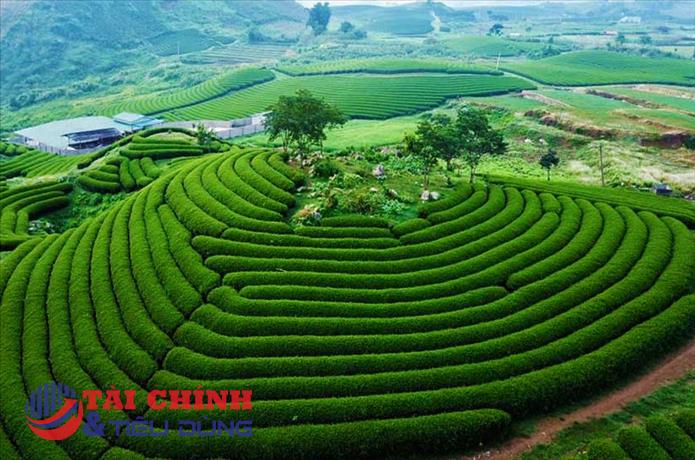 Mộc Châu được vinh danh Điểm đến thiên nhiên khu vực hàng đầu thế giới