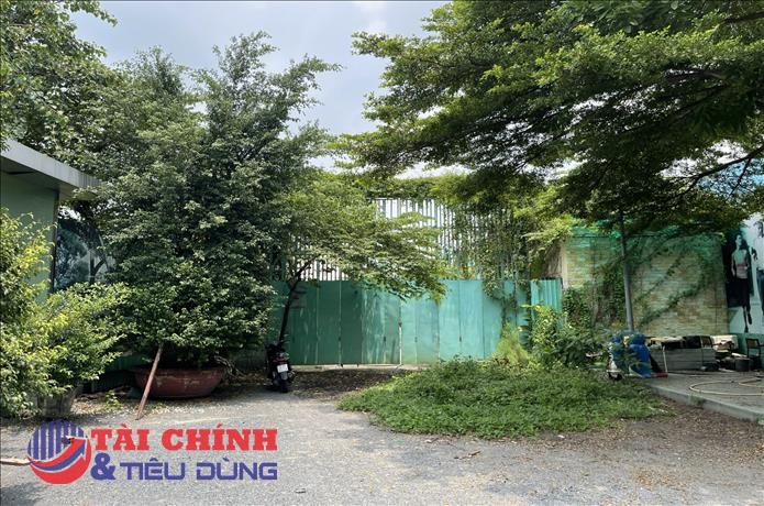 TP.HCM: Dự án Tecco Đầm Sen hiện vẫn là bãi đất trống và chưa đủ điều kiện bán