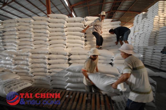 Hai mảng sáng - tối trong bức tranh lợi nhuận ngành gạo