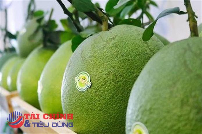 Lễ công bố lô bưởi đầu tiên của Việt Nam vào thị trường Mỹ