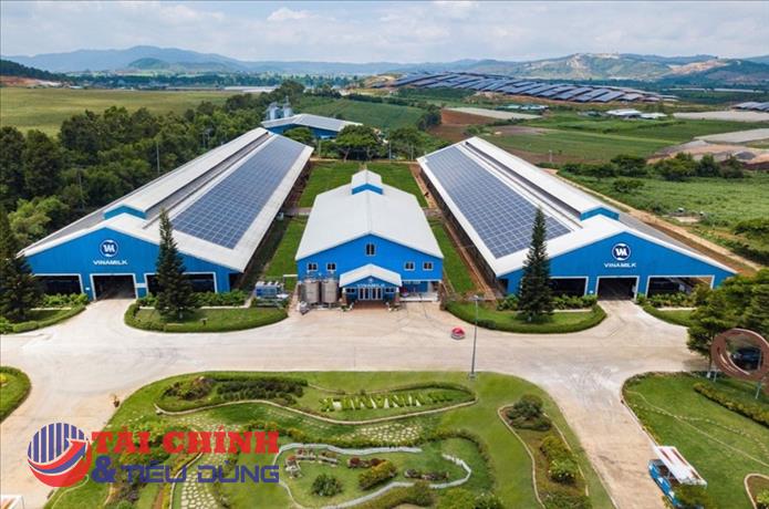 Vì sao nhà đầu tư nên chọn ít nhất 1 cổ phiếu ESG trong danh mục đầu tư?