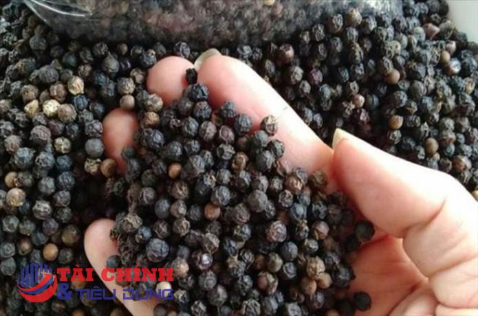 Giá tiêu hôm nay 30/11: Tăng 500 đồng/kg ở Gia Lai