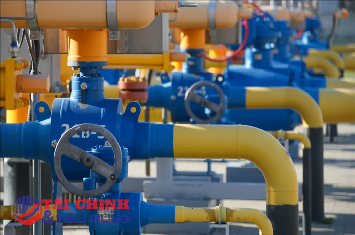 Giá gas hôm nay 30/11: Giá khí đốt tự nhiên ổn định