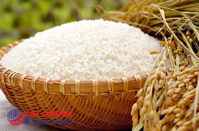 Giá lúa gạo hôm nay 30/11: Tăng nhiều mặt hàng lúa, mức từ 100 - 400 đồng/kg