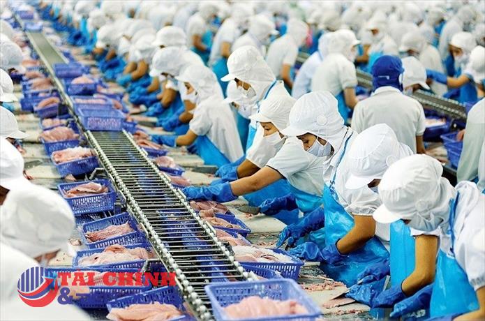VASEP dự báo xuất khẩu thủy sản sẽ giảm sâu hơn nữa trong tháng 12