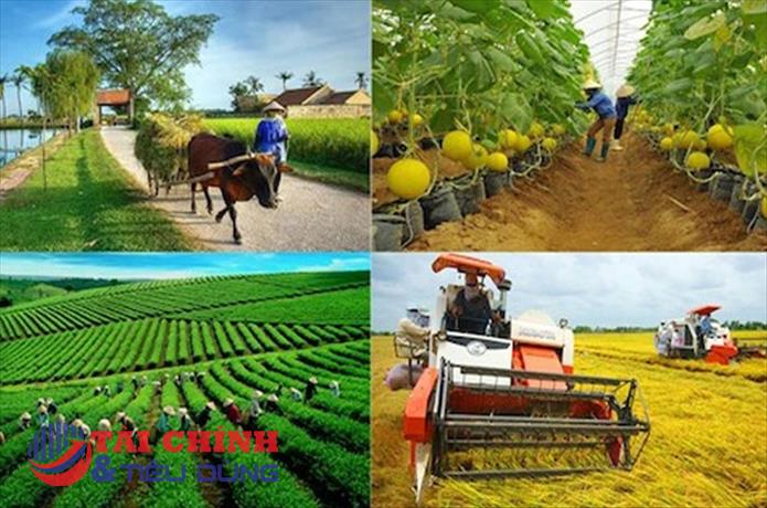 Cắt giảm, đơn giản hóa quy định kinh doanh thuộc quản lý của Bộ Kế hoạch và Đầu tư