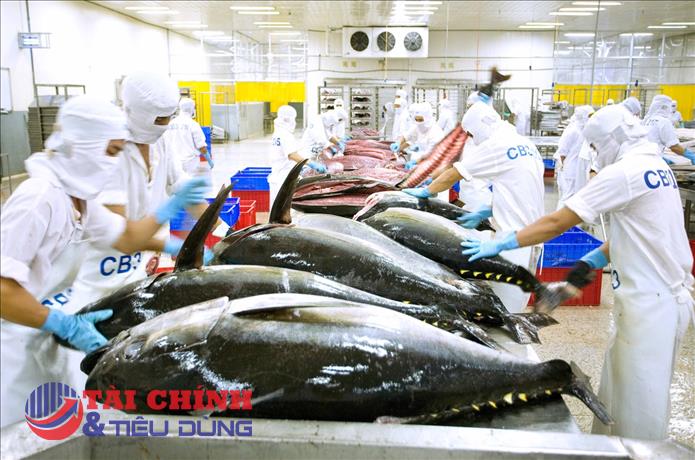 Xuất khẩu cá ngừ sang Italy trong tháng 10 tiếp tục giảm