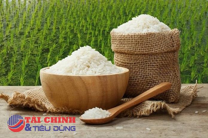 Giá lúa gạo hôm nay 7/12: Trong nước ổn định, giá gạo xuất khẩu tiếp tục đà tăng 10 USD/tấn