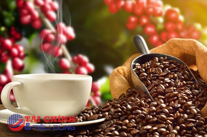 Giá cà phê hôm nay 21/12: Giá thu mua giao động mức 39.900 - 40.600 đồng/kg