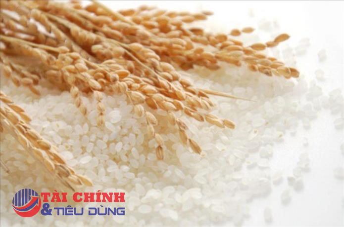 Giá lúa gạo hôm nay 27/12: Gạo Việt tiếp tục giữ giá ở mức cao