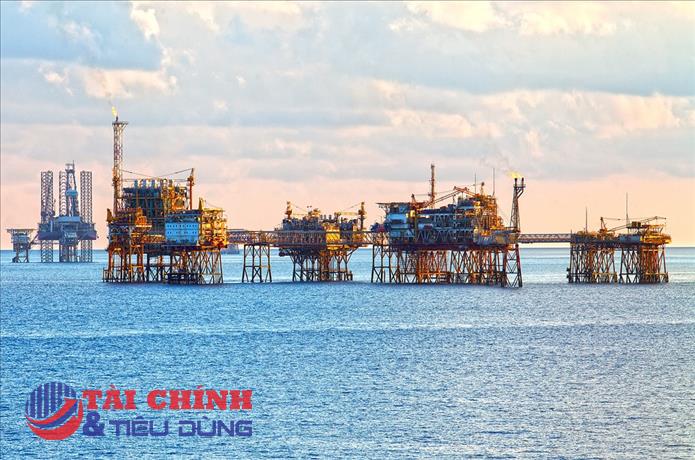 Bà Rịa - Vũng Tàu: Một doanh nghiệp dầu khí bị ngừng sử dụng hóa đơn do nợ thuế quá hạn