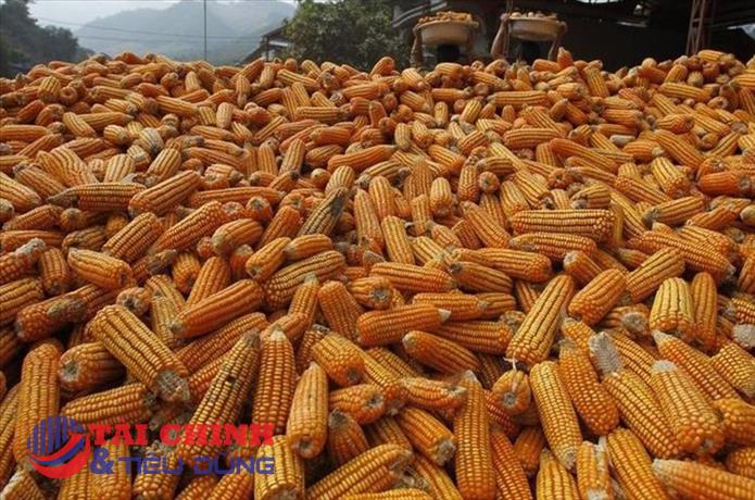 Thị trường hàng hóa 28/12: Sắc xanh đỏ đan xen trên bảng giá