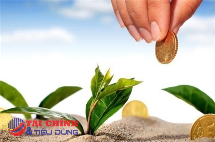 9 doanh nghiệp chốt quyền cổ tức, trả cổ phiếu trong tuần 30/1 - 3/2