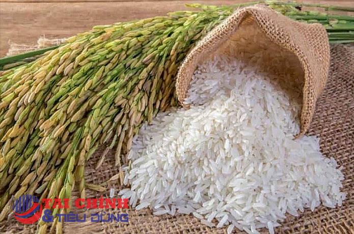 Giá lúa gạo hôm nay 5/2: Tiếp tục điều chỉnh tăng