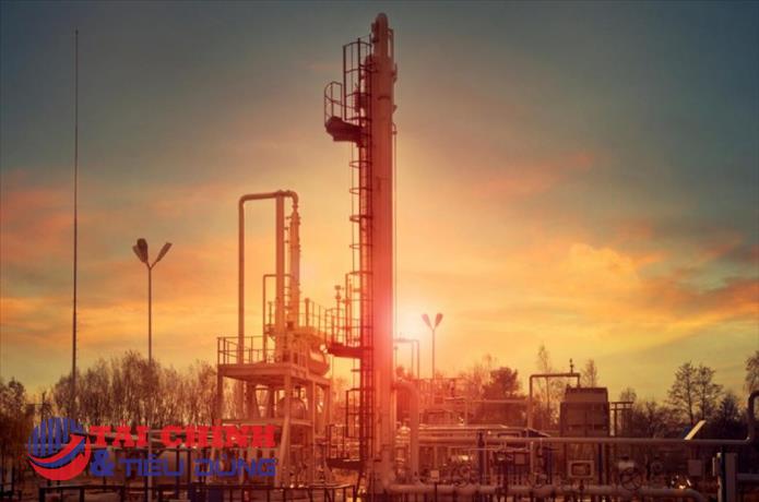 Giá gas hôm nay 23/2: Tăng gần 9% so với phiên trước