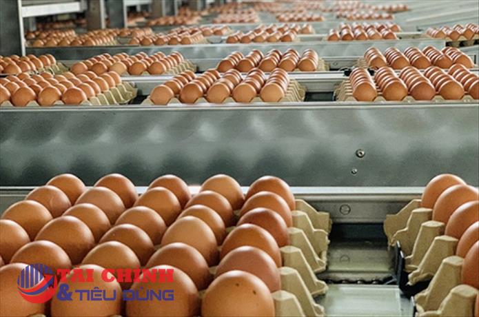 Áp dụng hạn ngạch thuế quan nhập khẩu thuốc lá nguyên liệu, trứng gia cầm