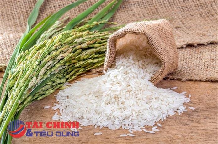 Giá lúa gạo hôm nay 1/3: Giá gạo xuất khẩu giảm mạnh