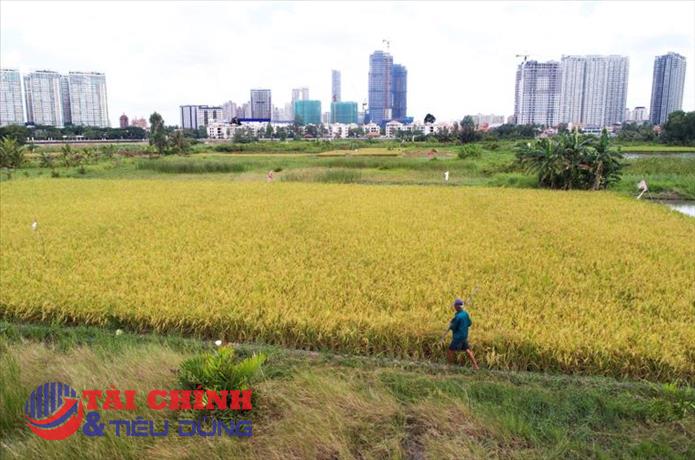 Đề nghị phân định rõ các loại đất bị thu hồi và bồi thường trong Luật Đất đai (sửa đổi)