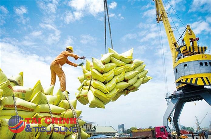 Triển vọng tốt đối với các doanh nghiệp xuất khẩu gạo trong ngắn hạn