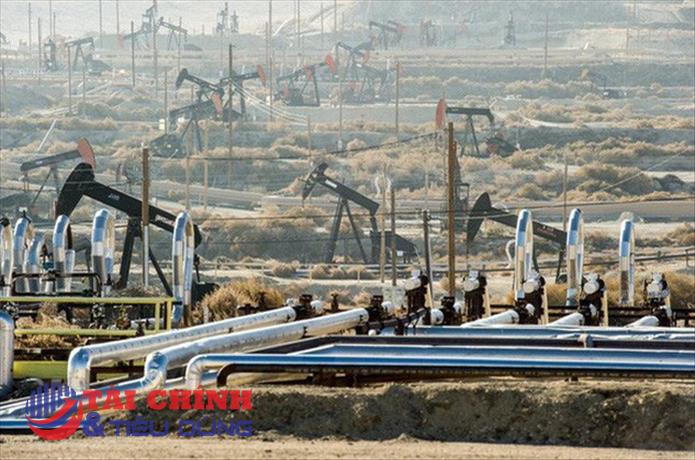 Giá xăng dầu hôm nay 23/3: Giá dầu tăng 2% lên mức cao nhất trong tuần