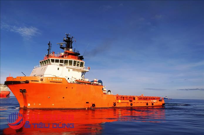 Dịch vụ biển Tân Cảng (TOS) bị phạt và truy thu thuế 528 triệu đồng