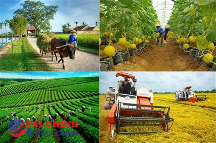 Giải pháp thúc đẩy chuyển đổi số trong khu vực kinh tế tập thể