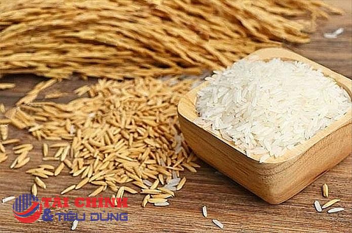 Giá lúa gạo hôm nay 4/6: Tiếp tục duy trì mức ổn định