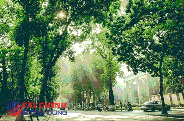 Thời tiết hôm nay 21/6: Bắc Bộ mưa dông tập trung vào chiều tối và đêm