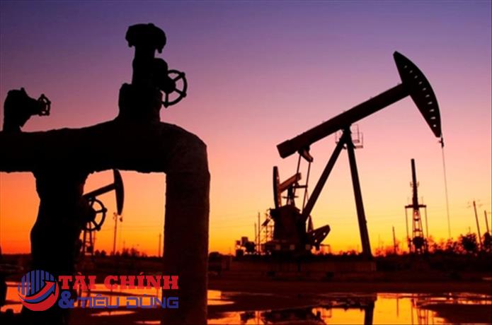 Việt Nam xuất 1,21 triệu tấn dầu thô trong 5 tháng đầu 2023