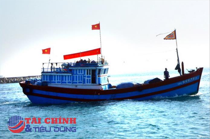 Kiểm tra việc chống đánh bắt cá trái phép, không khai báo tại Cà Mau