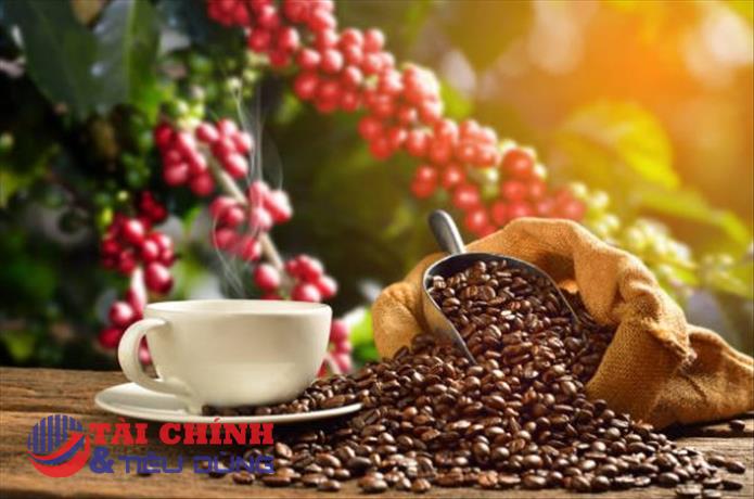 Giá cà phê hôm nay 20/7: Khu vực Tây Nguyên giảm nhẹ 100 - 200 đồng/kg