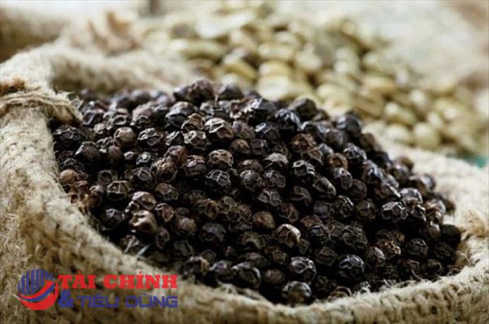 Giá tiêu hôm nay 21/7: Thị trường hạt tiêu toàn cầu chịu sức ép trước sản lượng của Việt Nam