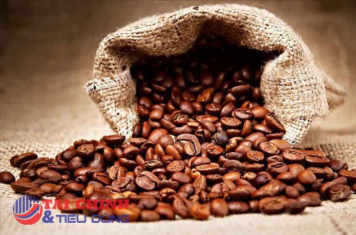 Giá cà phê hôm nay 22/8: Tăng từ 100 đồng/kg đến 200 đồng/kg