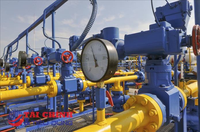 Giá gas hôm nay ngày 22/8: Giảm nhẹ trở lại, ghi nhận mức điều chỉnh gần 1%