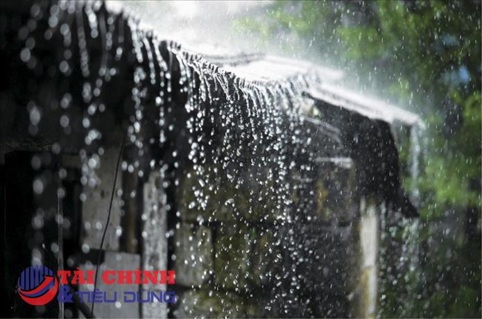 Thời tiết hôm nay 6/9: Mưa lớn từ Hà Tĩnh đến Phú Yên, Tây Nguyên và Nam Bộ