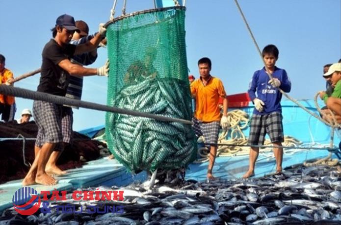 Ủy ban châu Âu sắp thanh tra Việt Nam về khai thác thủy sản trái phép
